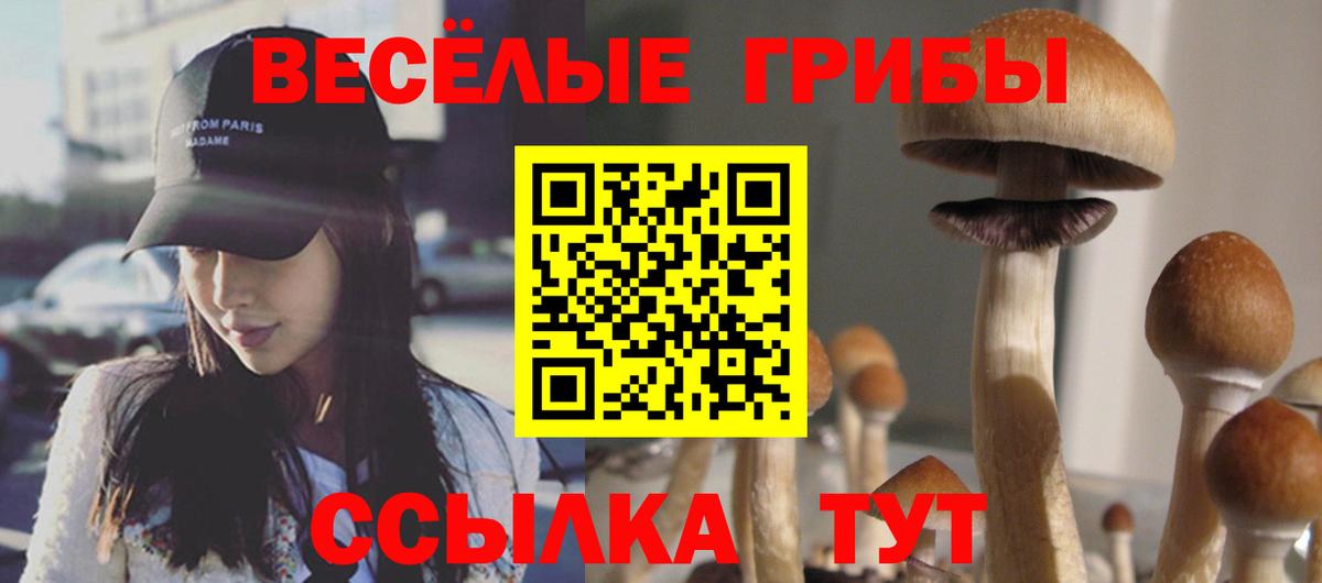 Псилоцибиновые грибы Magic Shrooms  Вход с VPN  Янаул 
